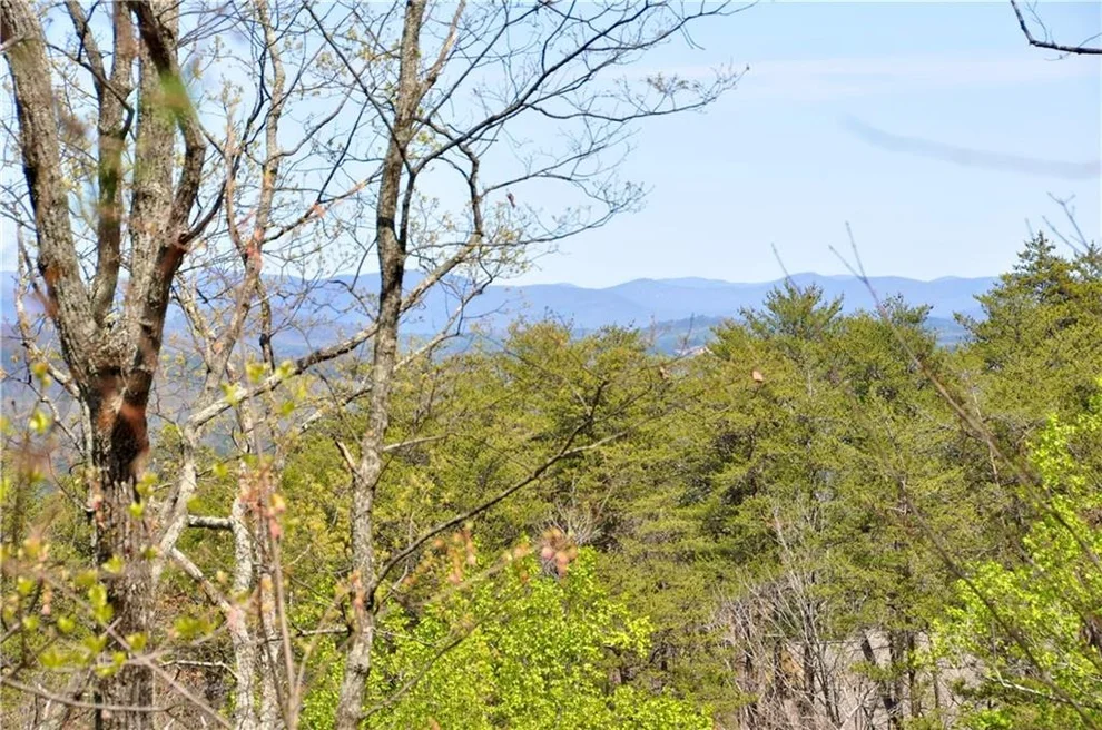 Unit for sale at 5533 Red Fox Court, Big Canoe, GA 30143