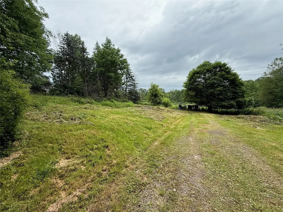 Unit for sale at 568 Blakesley Nurse Hollow Road, Afton, NY 13730
