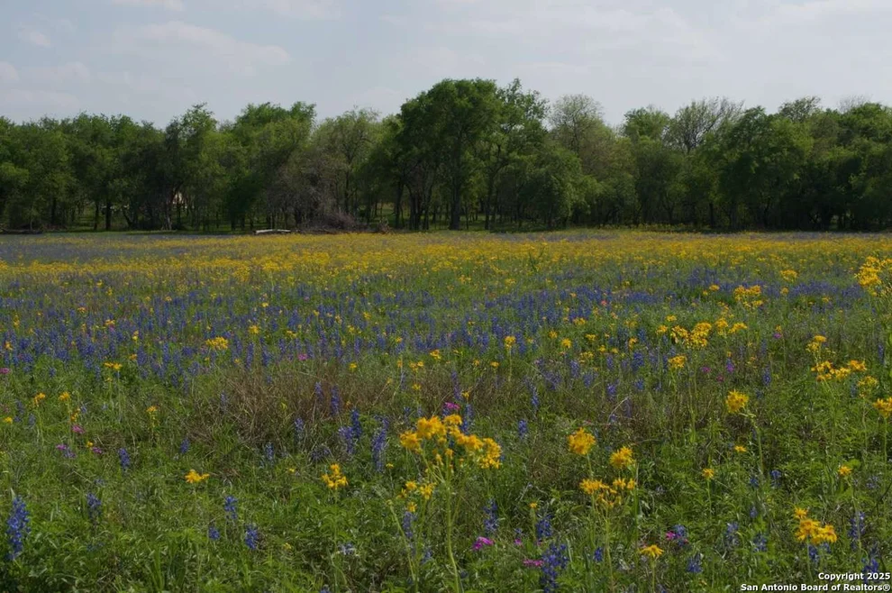 Unit for sale at 1527 county road 412, Stockdale, TX 78160
