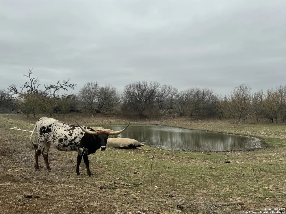 Unit for sale at 3075 County Road 5710, Devine, TX 78016
