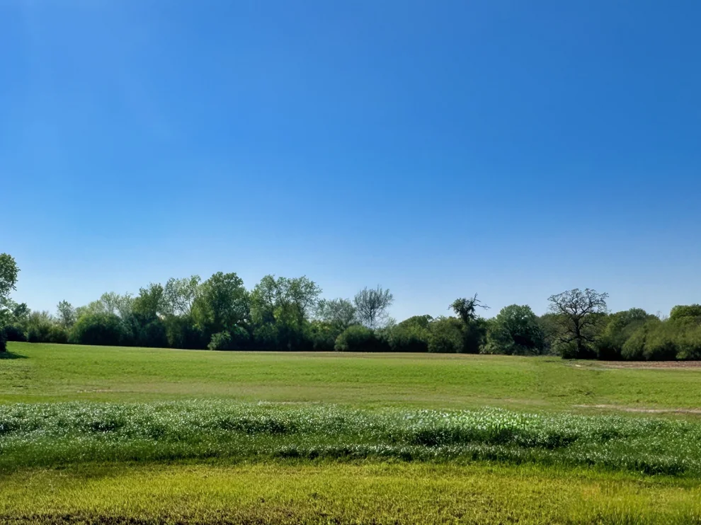 Unit for sale at LOT 38 Panther Ridge Drive, Iola, TX 77861