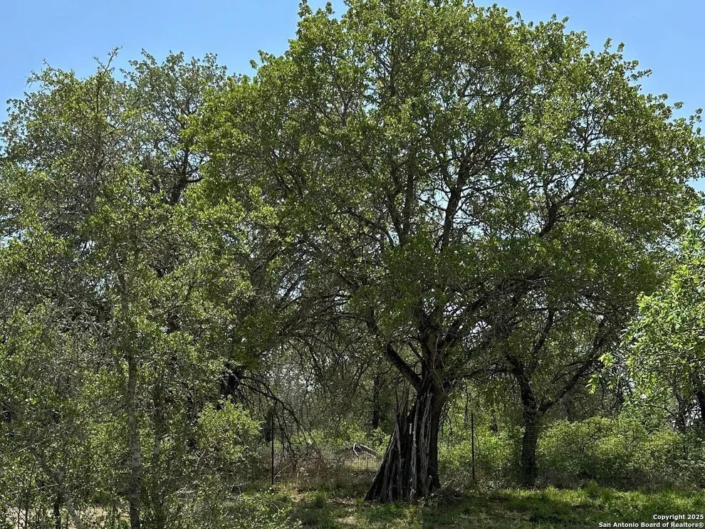 Unit for sale at 165 Sanctuary Lane (Tract 3), Von Ormy, TX 78073