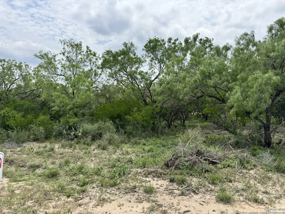 Unit for sale at 700 CR 200, Three Rivers, TX 78071