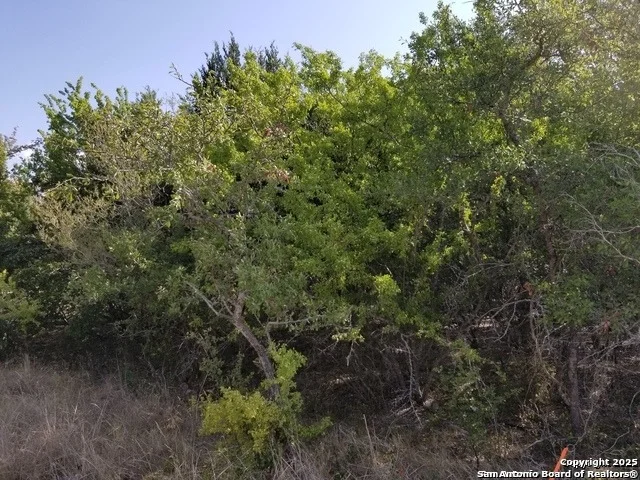 Unit for sale at 4736 troy, Schertz, TX 78154