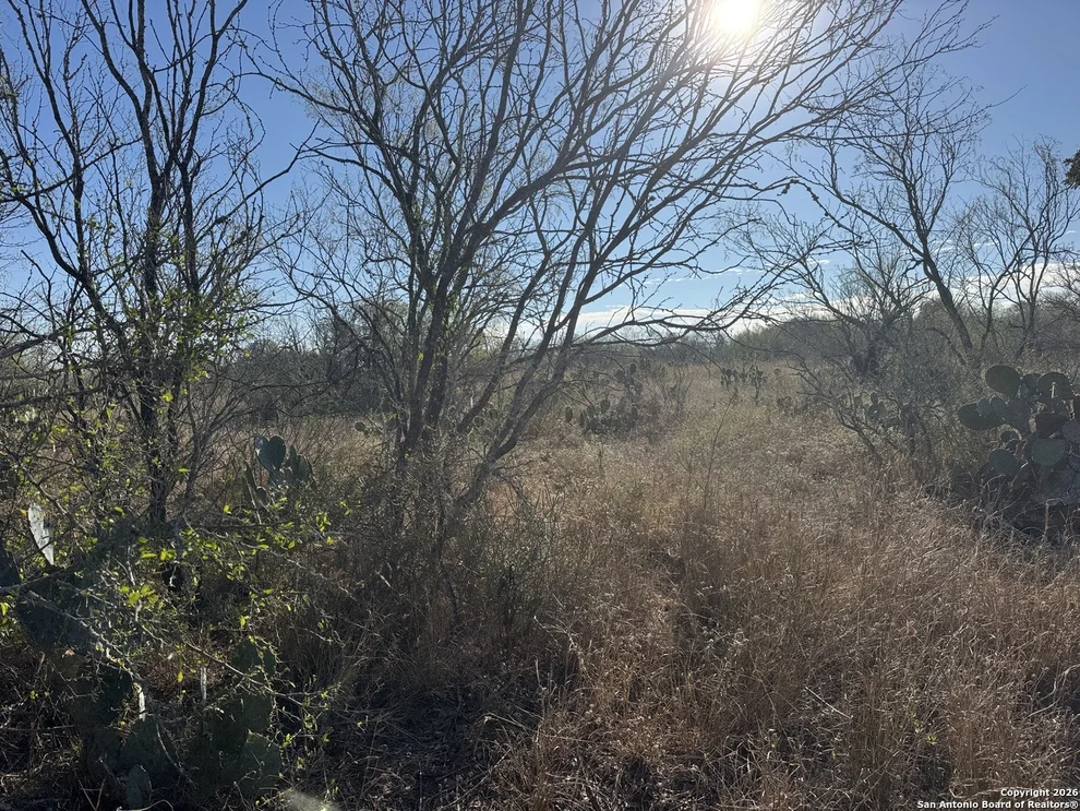 Unit for sale at 449 Rodriguez Acres PR, Jourdanton, TX 78026