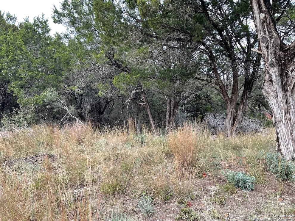 Unit for sale at 0 WHARTONS  DOCK, Bandera, TX 78003
