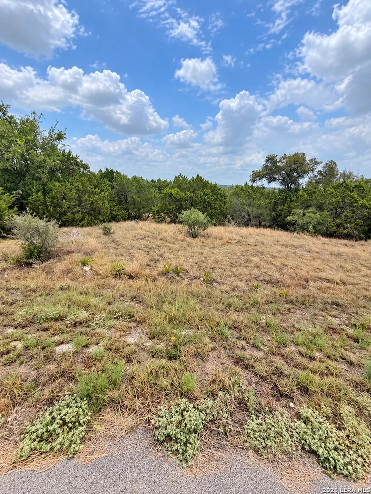 Unit for sale at 217 BINDWEED LN, Spring Branch, TX 78070