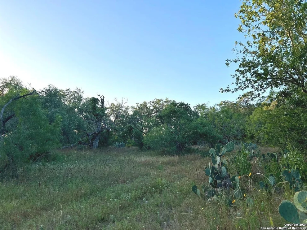 Unit for sale at 0 Bruce Rd., Pleasanton, TX 78064