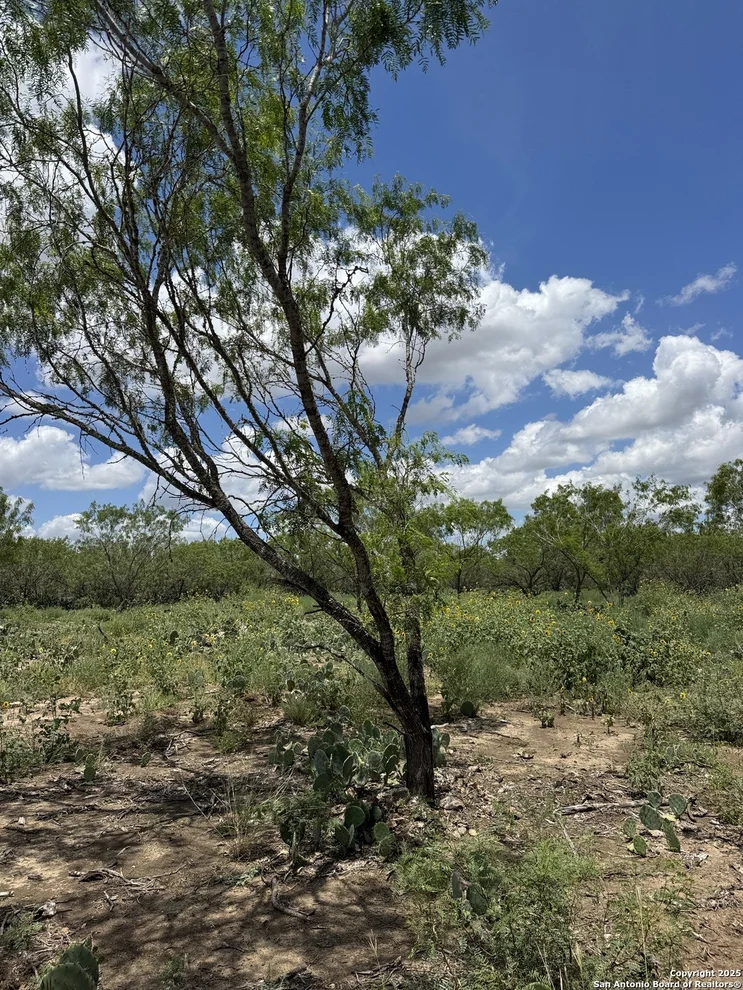 Unit for sale at 04 Windmill Ranchettes CR 329, Jourdanton, TX 78026