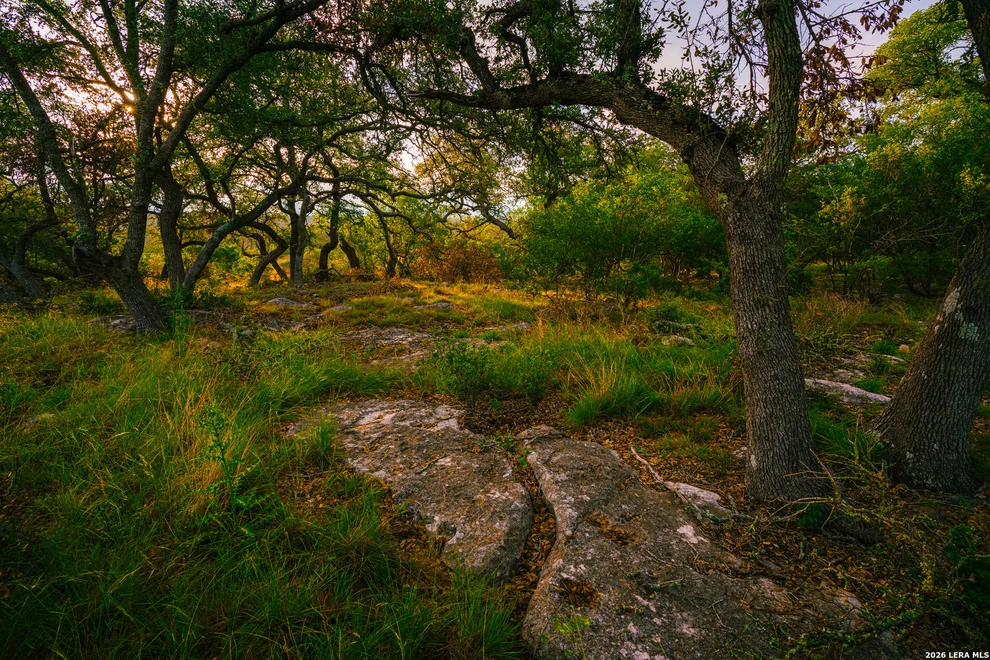 Unit for sale at 000 Rambling Oaks Ranch, Spring Branch, TX 78070