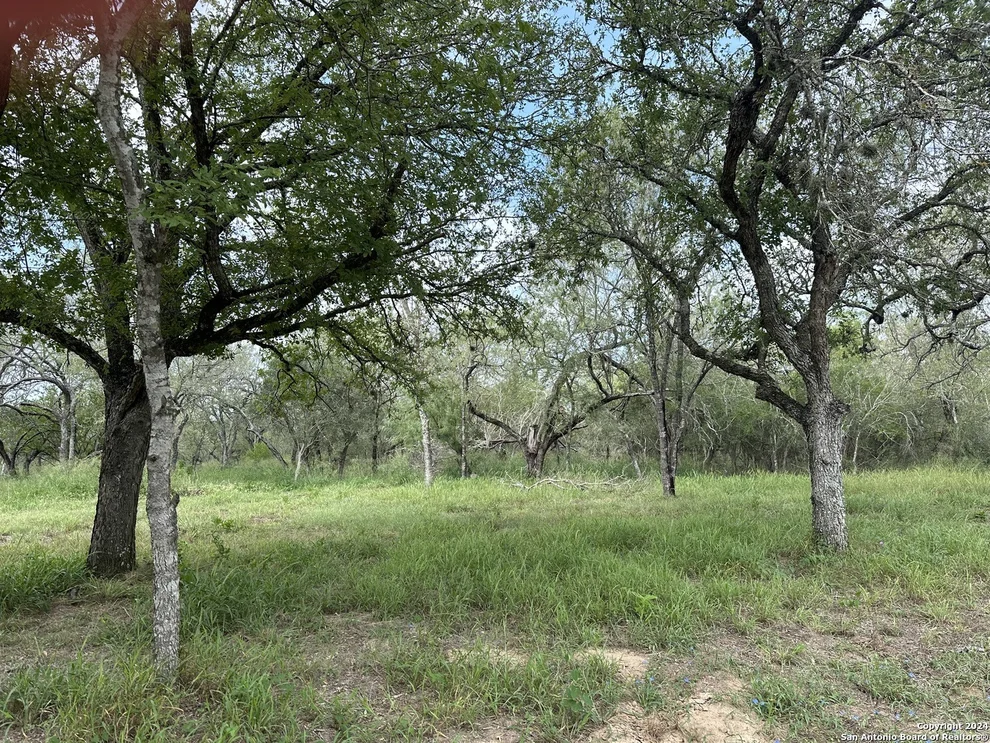 Unit for sale at 20588 S State Highway 16, Von Ormy, TX 78073