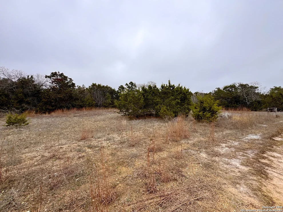 Unit for sale at 1021 Cliff, Spring Branch, TX 78070