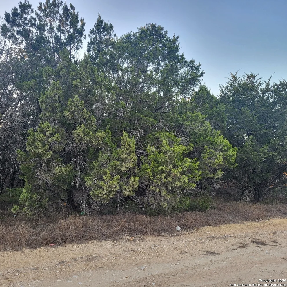Unit for sale at 0 Tbd (Oak Ridge - lot 22), Spring Branch, TX 78070