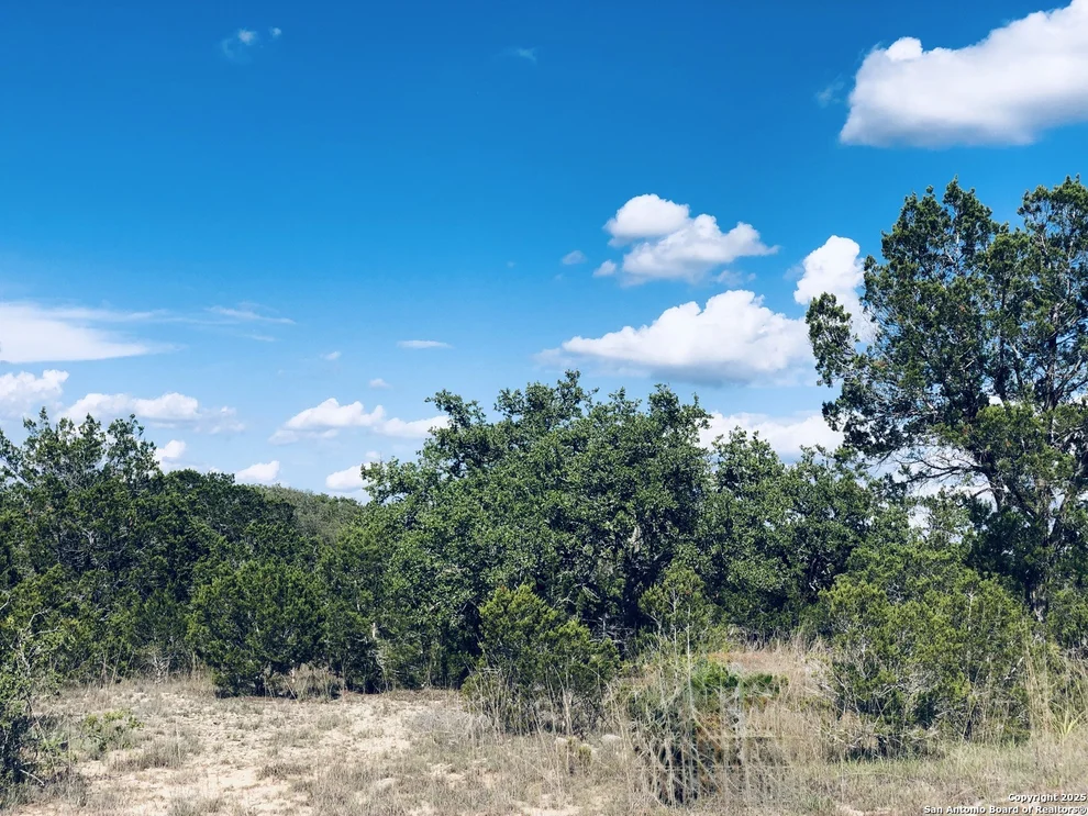 Unit for sale at 1020 Cliff Circle, Spring Branch, TX 78070