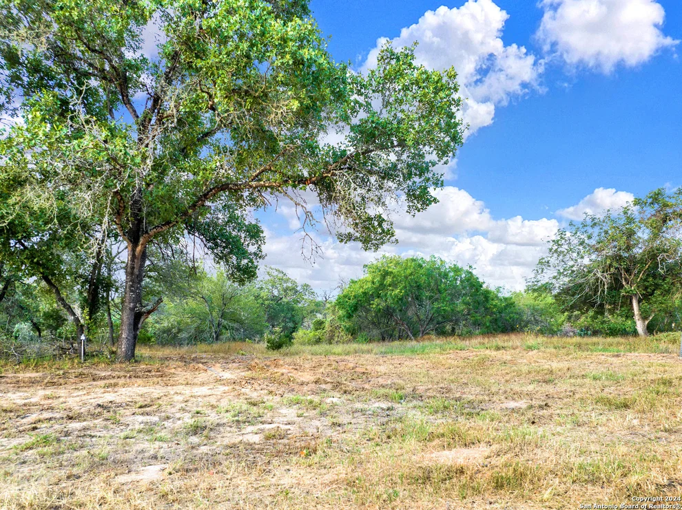 Unit for sale at 250 TIMBER PL, La Vernia, TX 78121