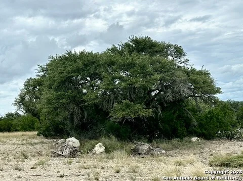 Unit for sale at 32901 TX Hwy 55, Camp Wood, TX 78801