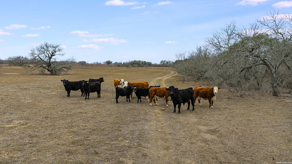 Unit for sale at 000 County Road 454, Stockdale, TX 78160