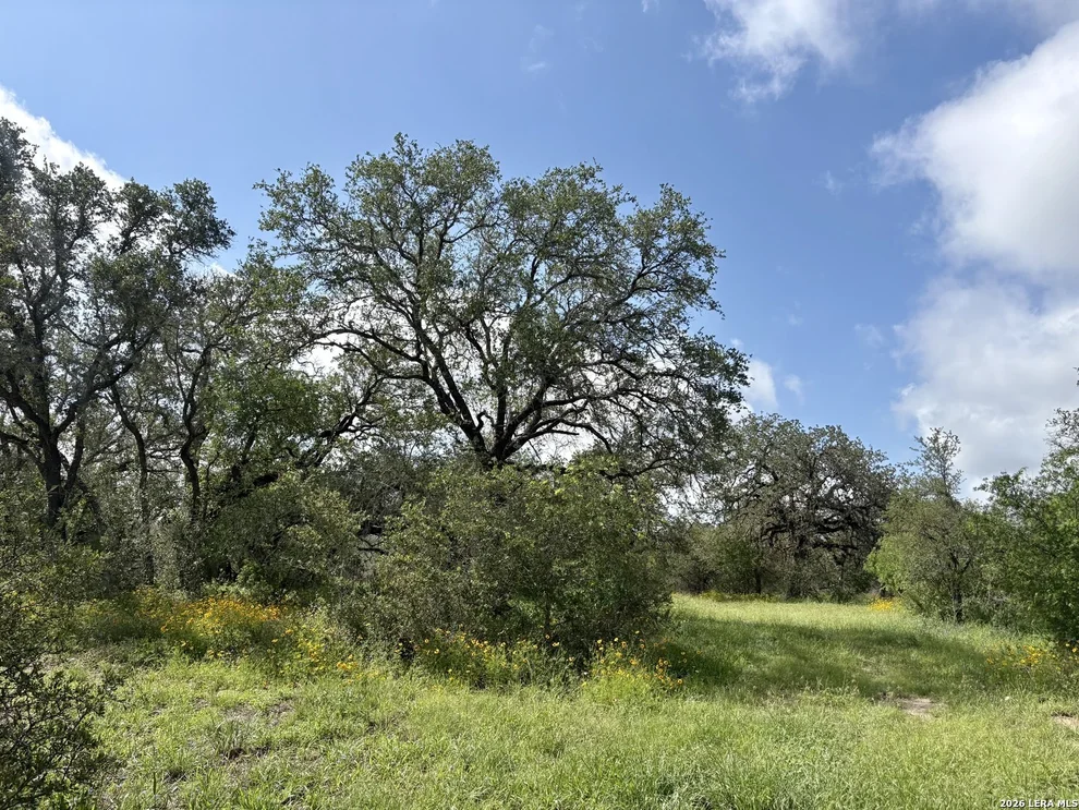 Unit for sale at 165 SANCTUARY LN, Von Ormy, TX 78073