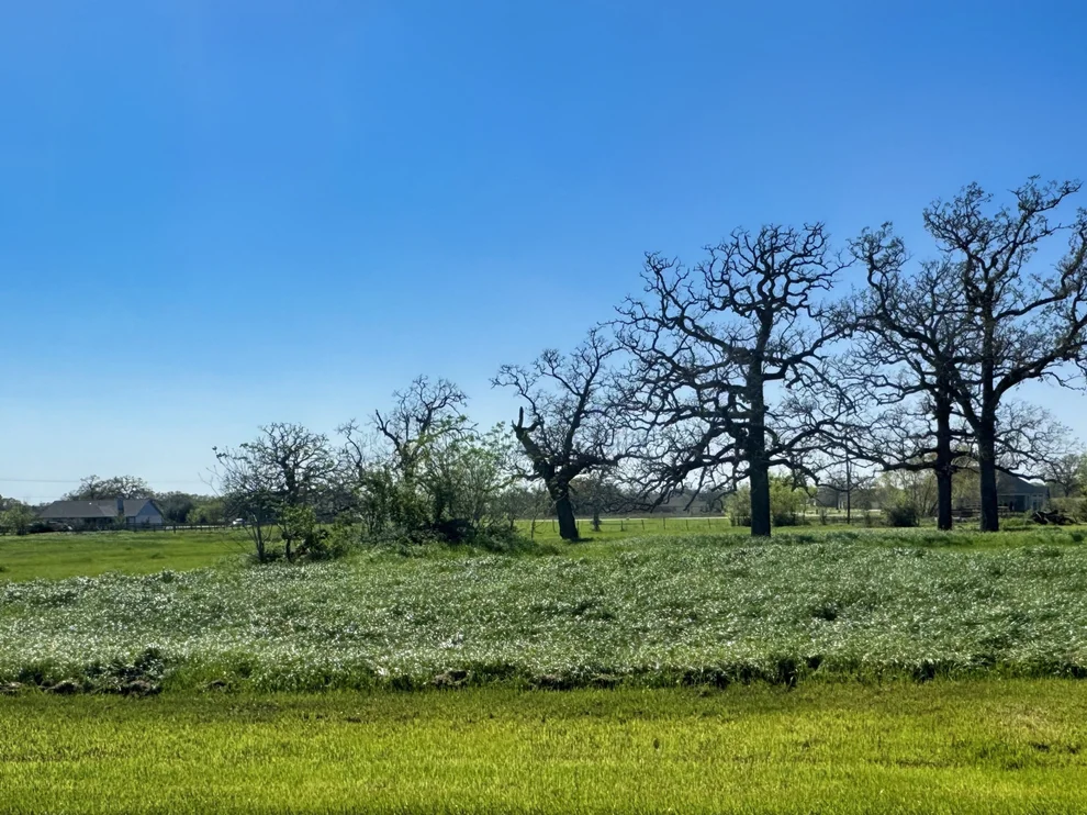 Unit for sale at 9993 Panther Creek Drive, Iola, TX 77861