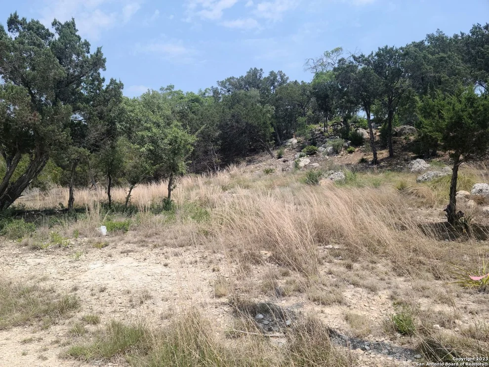 Unit for sale at 3332 CONTOUR DR, Spring Branch, TX 78070