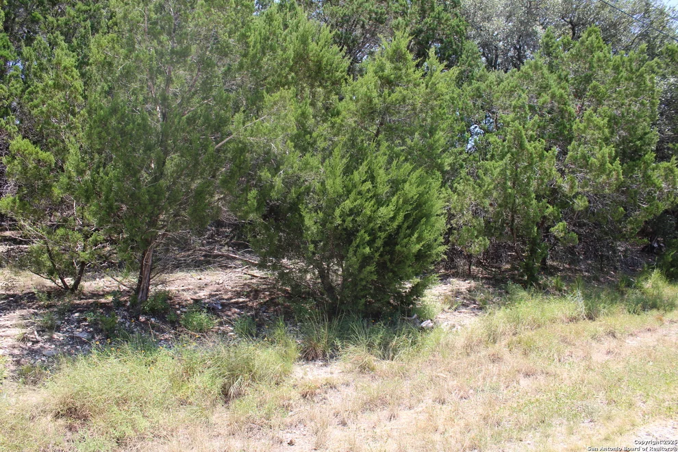 Unit for sale at 1105 Rotherman, Canyon Lake, TX 78133