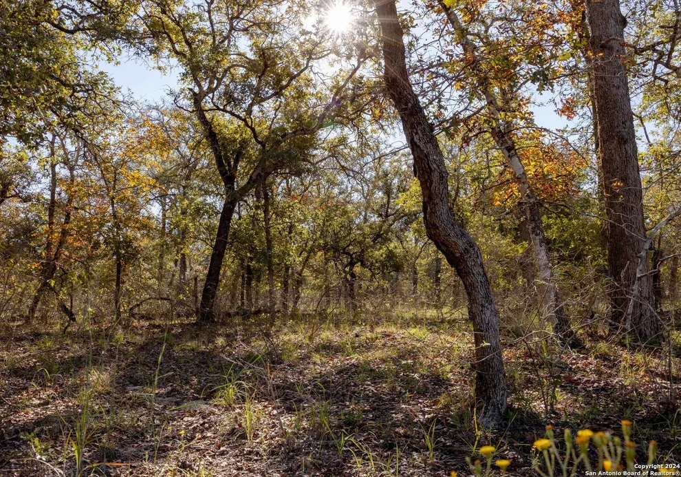 Unit for sale at 1707 vivroux ranch, Seguin, TX 78155