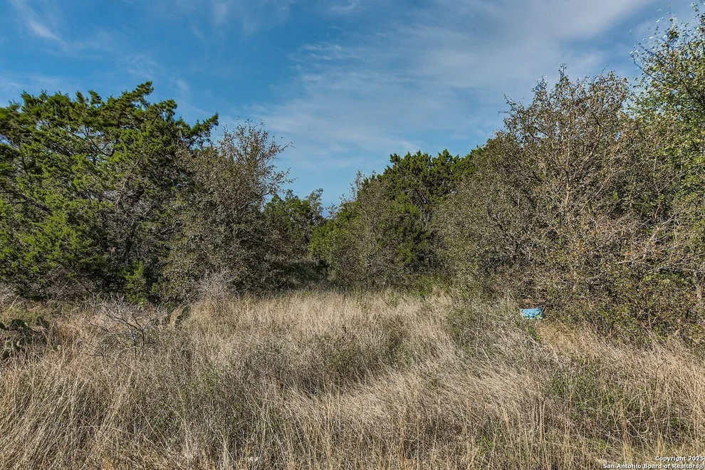 Unit for sale at LOT 229 CR 2748, Mico, TX 78056
