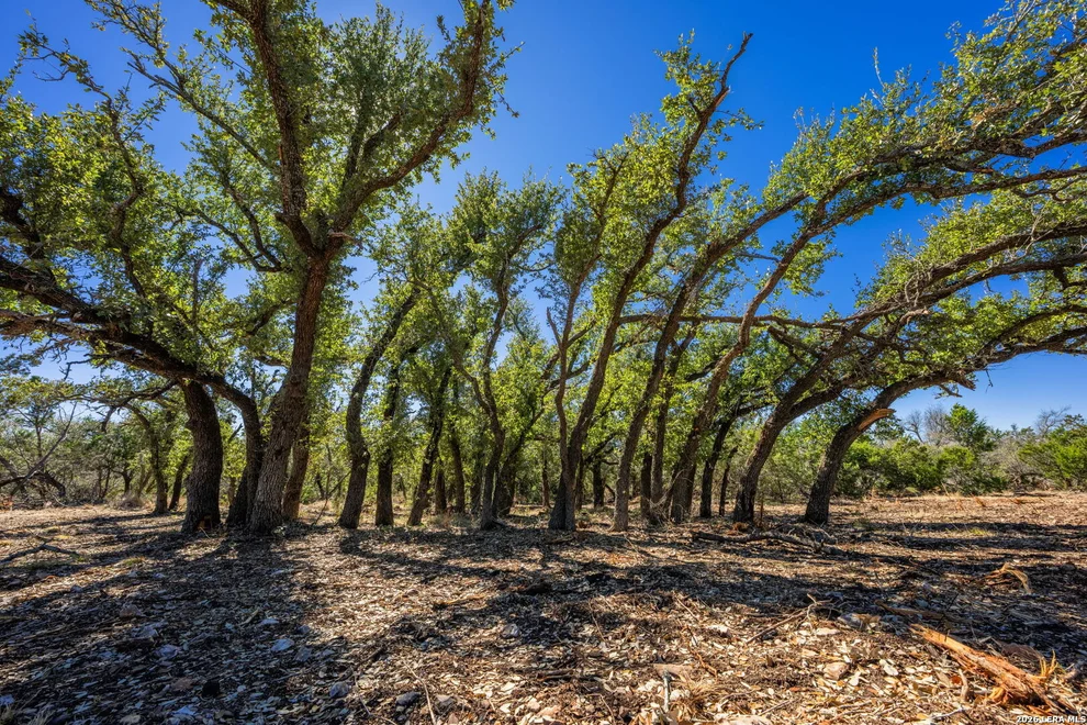 Unit for sale at 0000 Keese Road, Fredericksburg, TX 78624