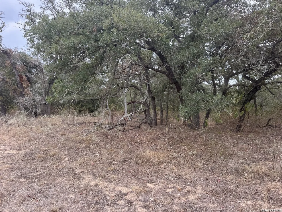 Unit for sale at 133 WHITE HORSE LN, Stockdale, TX 78160