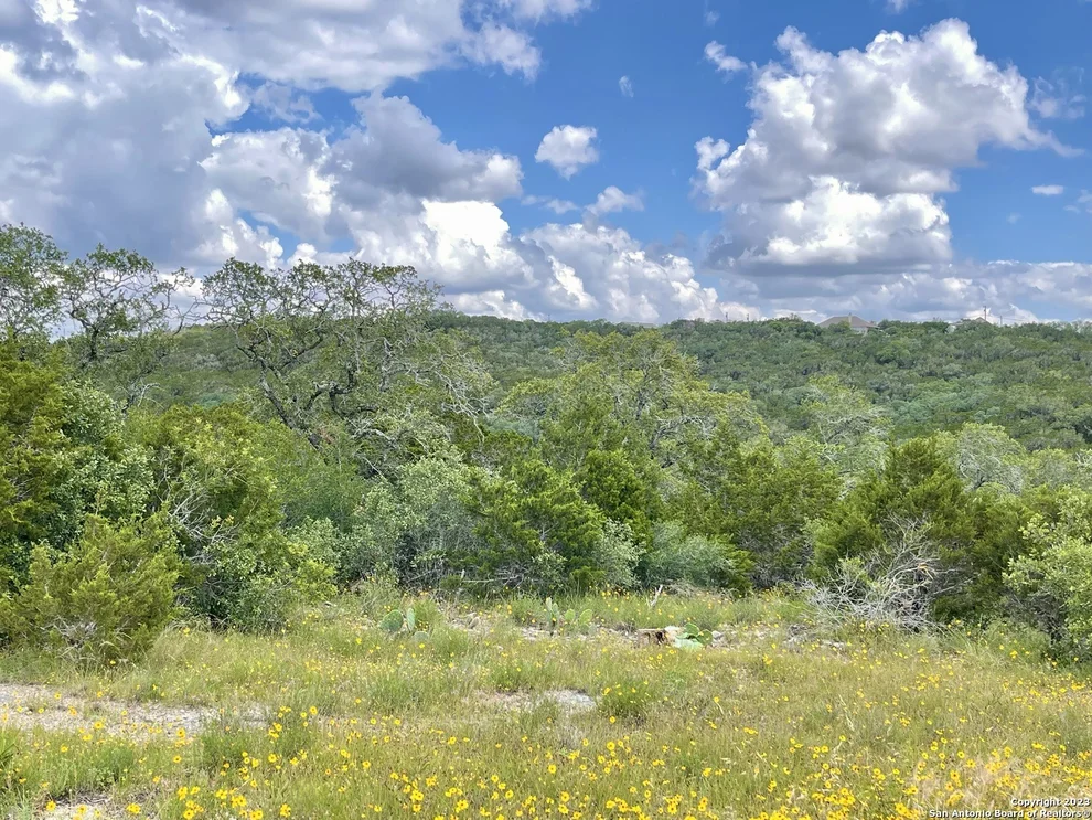 Unit for sale at LOT 438 County Rd 2763, Mico, TX 78056