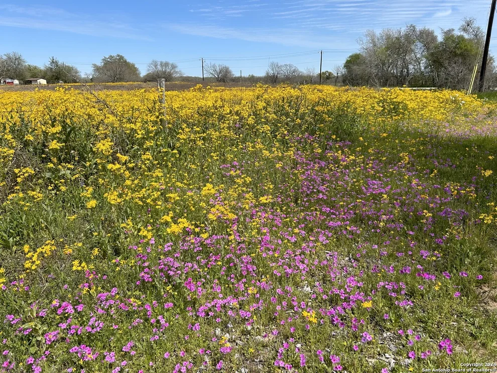 Unit for sale at TBD County Road 342, La Vernia, TX 78121
