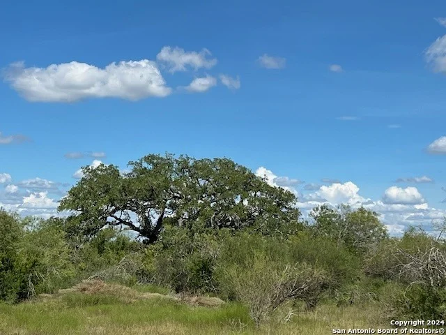 Unit for sale at 10514 County Road 115, Mineral, TX 78102