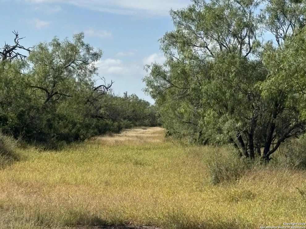 Unit for sale at 385 County Road 334, Charlotte, TX 78011