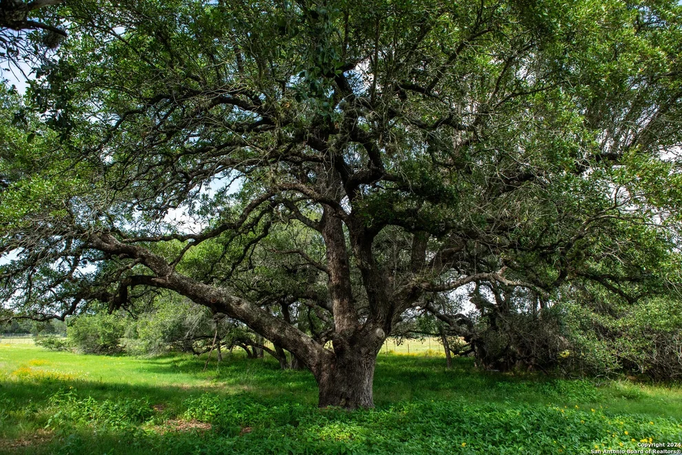 Unit for sale at 000 Hartung, Somerset, TX 78069