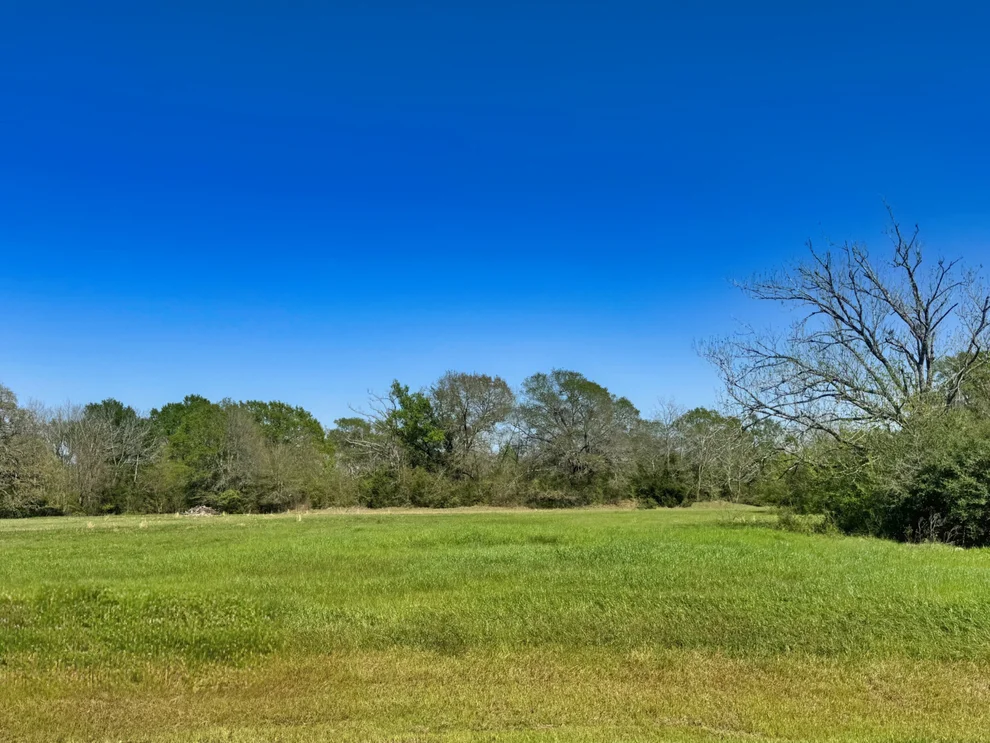 Unit for sale at 10270 Panther Creek Drive, Iola, TX 77861