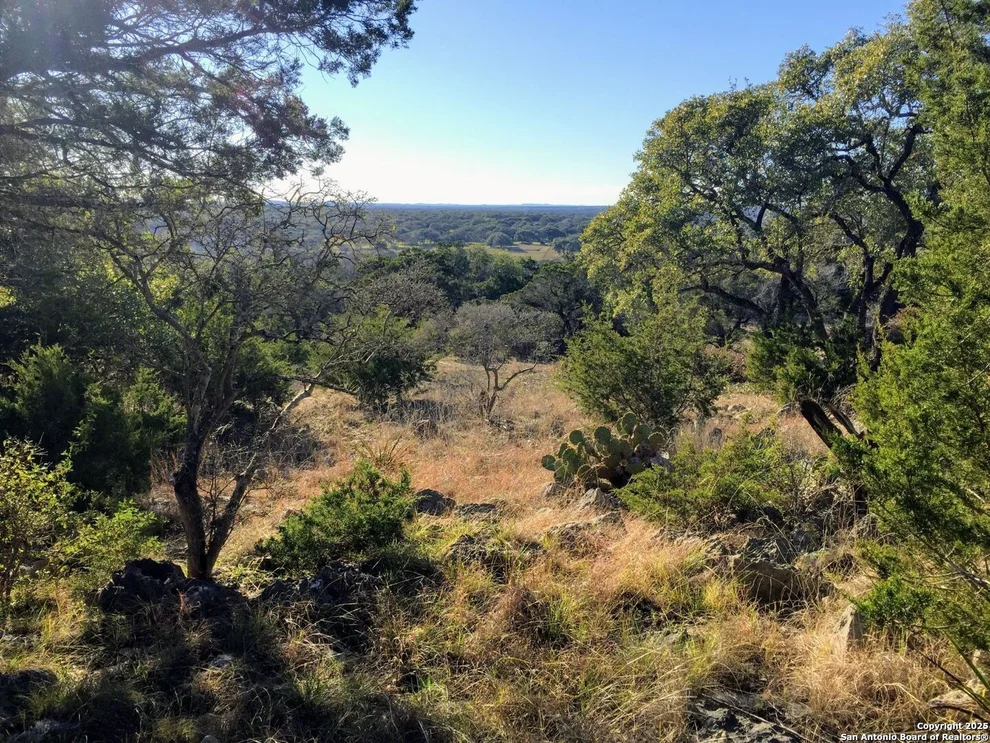Unit for sale at 447 Coyote Trail, Spring Branch, TX 78070