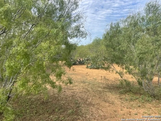 Unit for sale at 08 County Road 329, Jourdanton, TX 78026