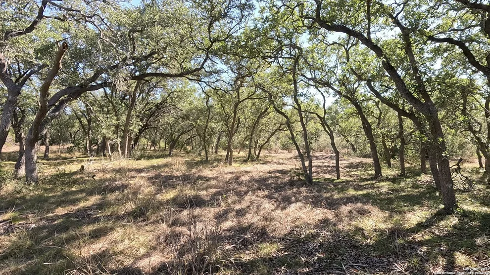 Unit for sale at 34672 Ansley Ridge, Bulverde, TX 78163