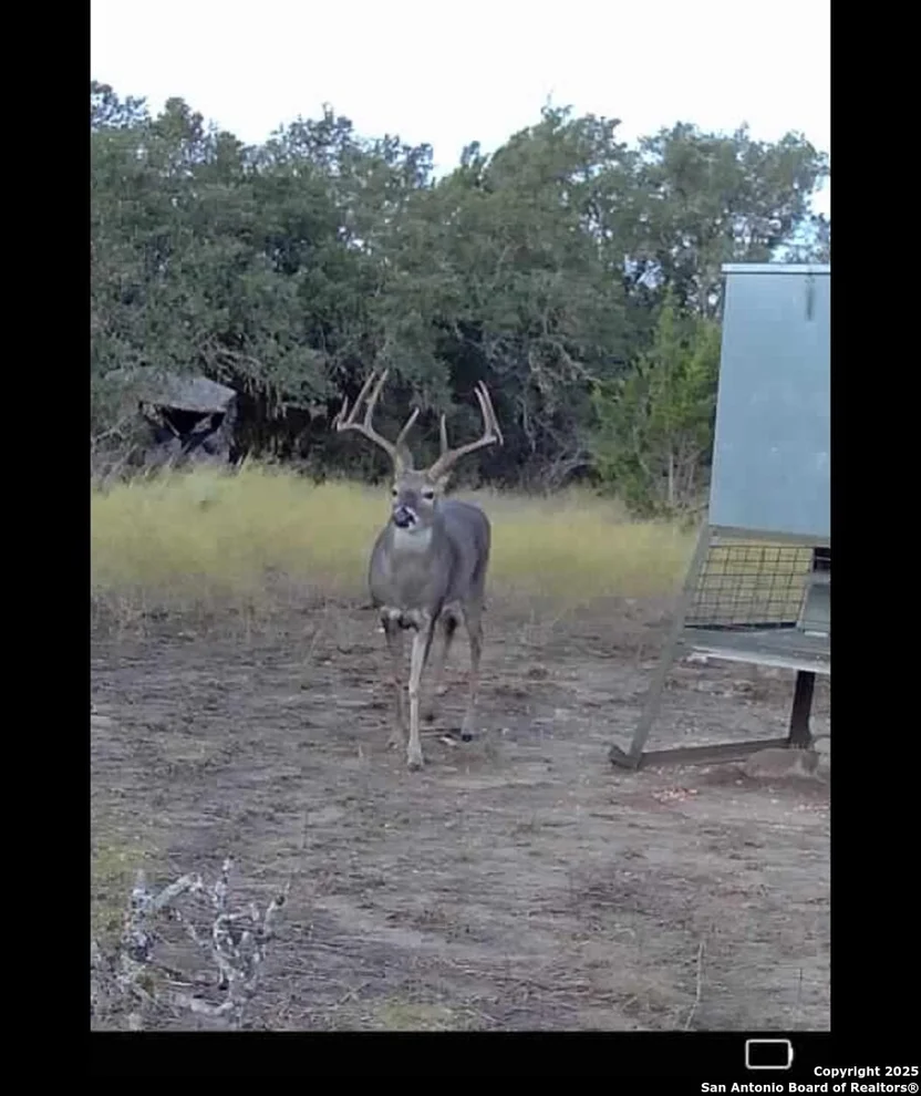 Unit for sale at 838 FM 573 S, Goldthwaite, TX 76864