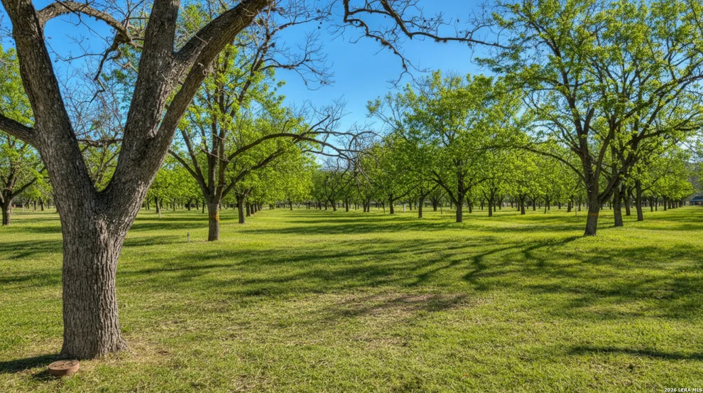 Unit for sale at 429 Johnny Seibert Ln, Leakey, TX 78873