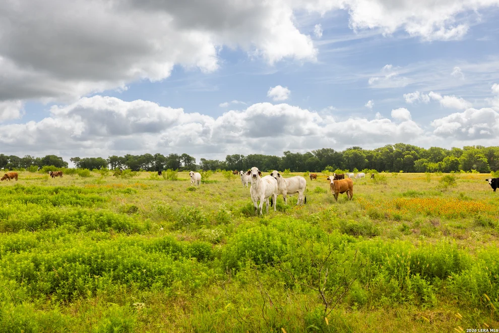 Unit for sale at 408 E FM 739, CORSICANA, TX 75110