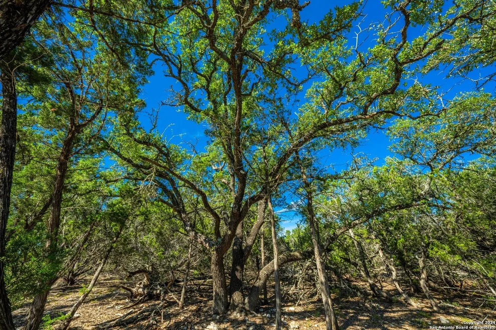 Unit for sale at LOT 7 Gillespie Ridge, Harper, TX 78058