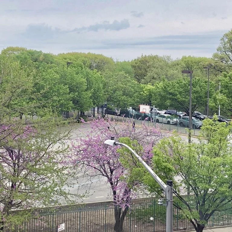 Unit for sale at 448 W 167th Street, Manhattan, NY 10032