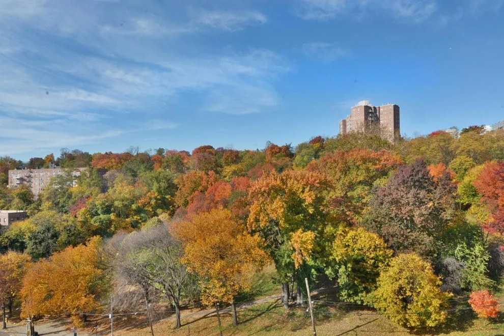 Unit for sale at 3130 Irwin Avenue, Bronx, NY 10463