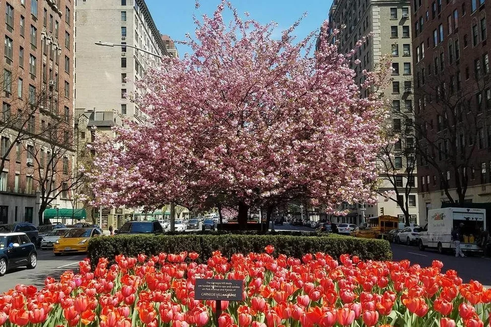 Unit for sale at 124 E 91ST Street, Manhattan, NY 10128