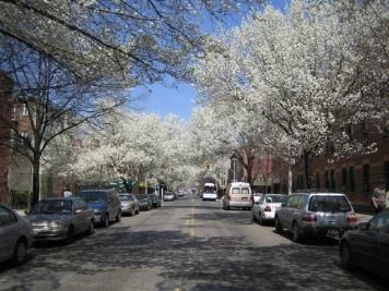 Unit for sale at 118 Union Street, Brooklyn, NY 11231