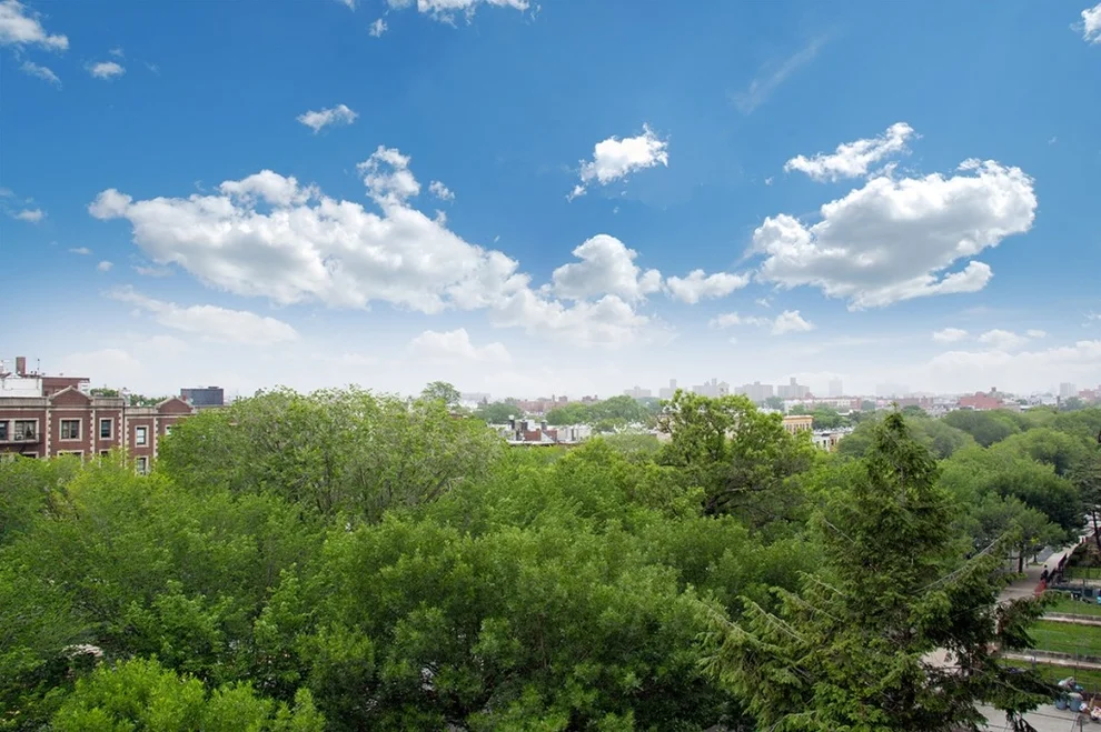 Unit for sale at 480 Eastern Parkway, Brooklyn, NY 11225