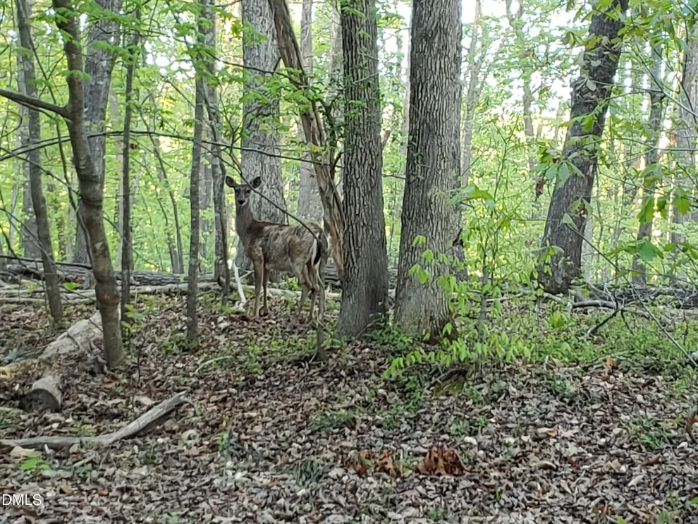 Unit for sale at Lot 2 Deer Run Trail, Hillsborough, NC 27278