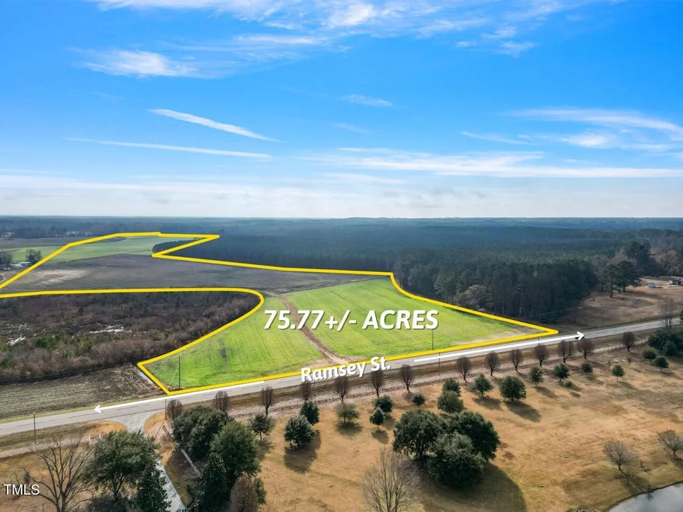 Unit for sale at 0 Ramsey Street, Linden, NC 28356