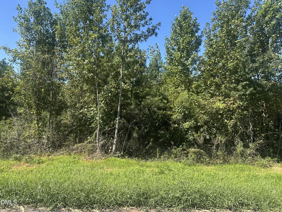 Unit for sale at 1960 Sunny Day Trl, Spring Hope, NC 27882